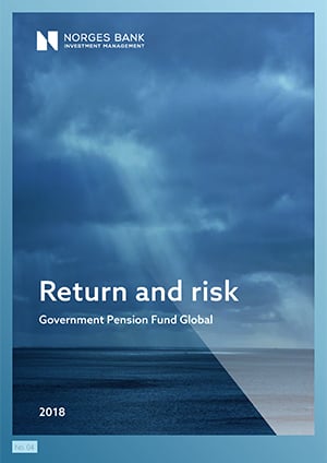 Return and risk 2018