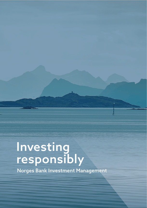 The first 20 years of investing responsibly