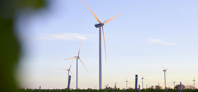 Vindm&oslash;ller i landskap ved solnedgang.