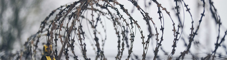 Close-up of barbed wire against a blurred background.