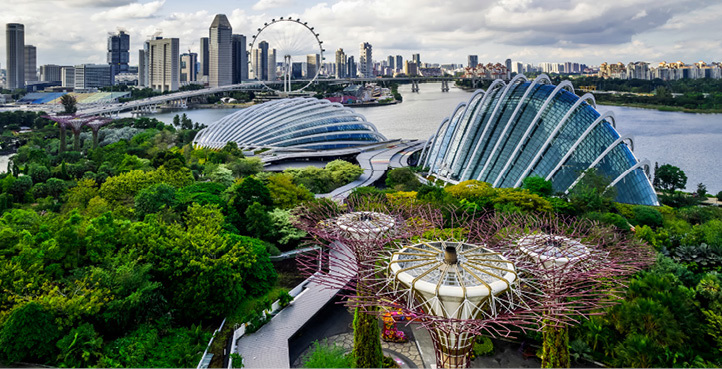 Gardens by the Bay in Singapore, with the Supertree structures and city skyline in the background.