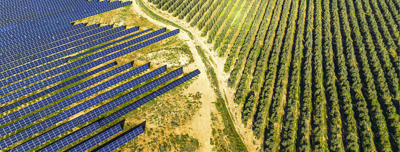 Aerial view of solar panels installed alongside agricultural fields.