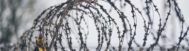 N&aelig;rbilde av piggtr&aring;d mot uskarp bakgrunn.