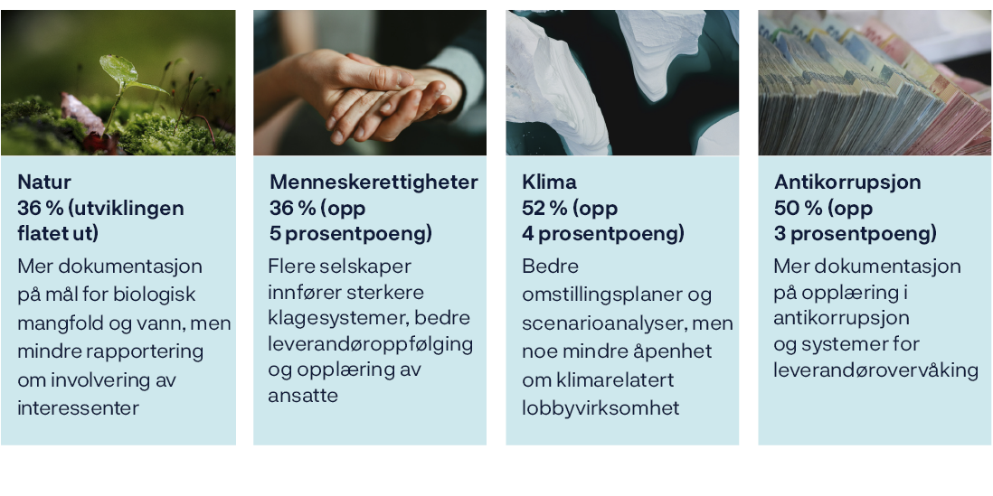 A row of images with descriptions of the content. The first image is a hand holding a leaf, the second is a hand holding a stem, the third is a hand holding a flower, the fourth is a hand holding a stem, and the fifth is a hand holding a leaf.

AI generated content