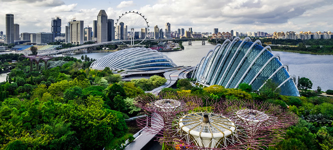Gardens by the Bay i Singapore, med Supertree-konstruksjonene og bysilhuetten i bakgrunnen.