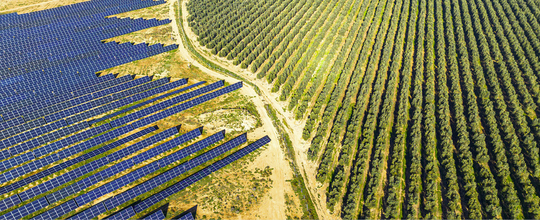 Luftfoto av solcellepaneler installert ved siden av jordbruksområder.